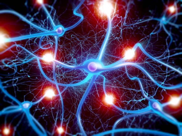 神経伝達を正常にする脳脊髄液